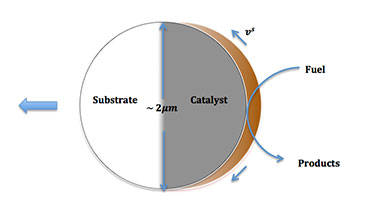 A figure drawn by PhD student Yahaya Ibrahim, represents a polystyrene bead, half coated with a platinum catalyst.  