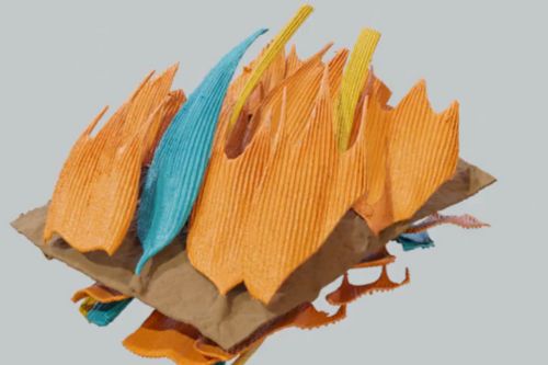 3D image of a moth wings scales