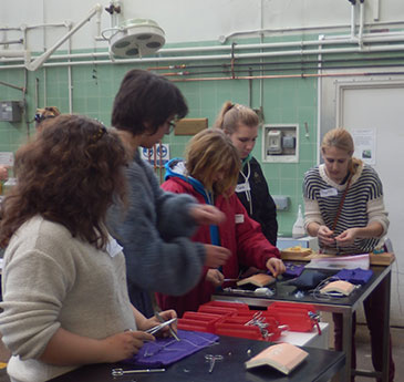 Students practising suturing