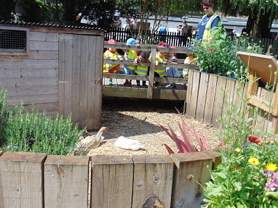 Toddlers at the farm