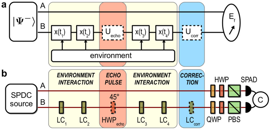 Conceptual scheme. 