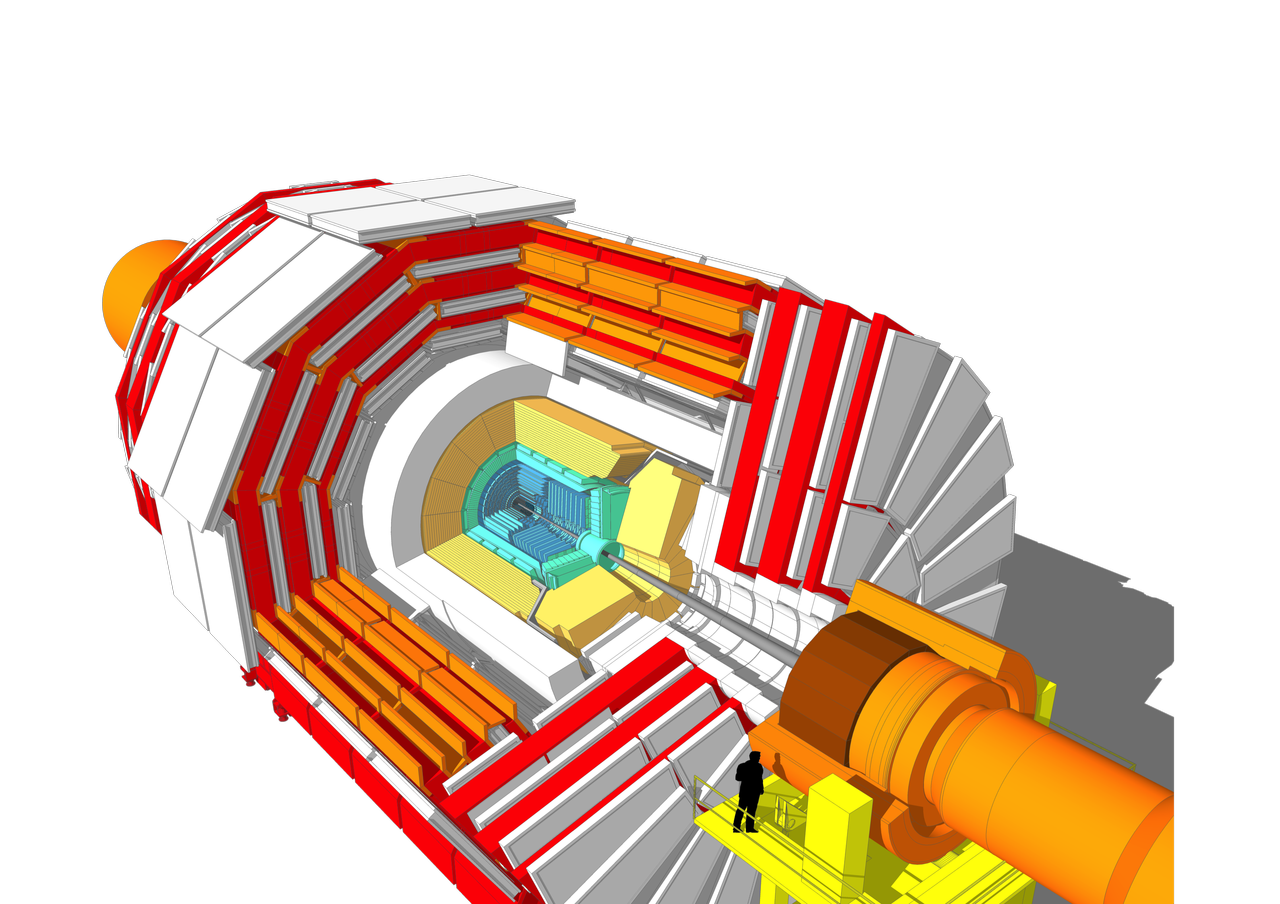 CMS detector