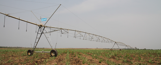 Field