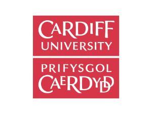 Logo for Cardiff University