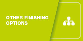 Other Finishing Options button