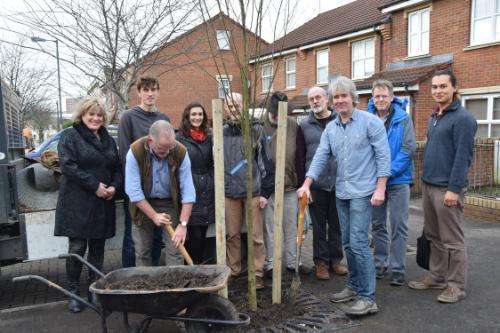 Stump replacement as part of tree project