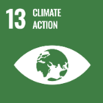 A white-and-green image of the globe in the pupil of an eye representing Sustainable Development Goal 13: Climate Action