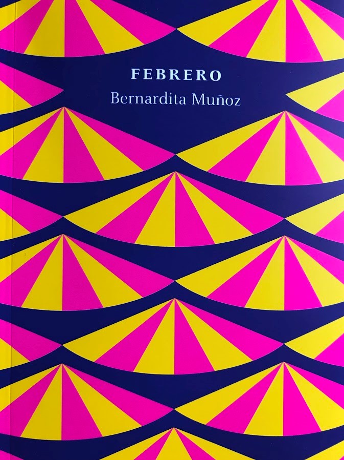 Dr Bernardita Muñoz book cover