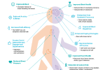 Short term and long term benefits of physical activity on wellbeing