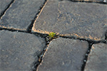 Close-up detail of cobbled street