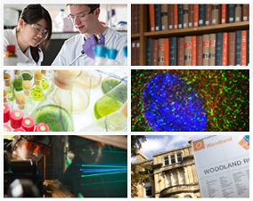 Grid of six thumbnail images. Clockwise from top left: two chemists at work, cloth-bound hardback books, fluorescence microscopy, building exterior, engineering experiment, test tubes and flasks.