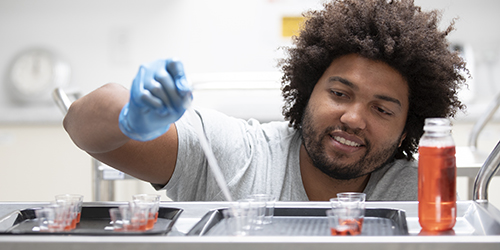 A person working in a laboratory with a pipette, measuring out orange liquid into small containers.