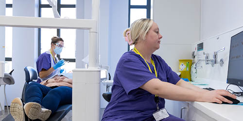 Students working in the dental school