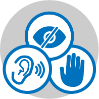 Icons of an eye, ear and hand depicting disabilities.
