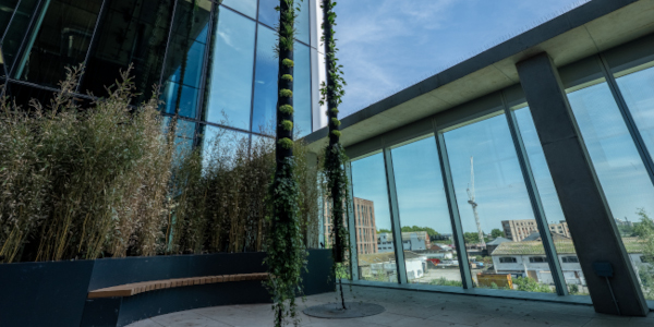 An industrial looking internal space that has seating with greenery growing behind it and planting growing up the internal columns.