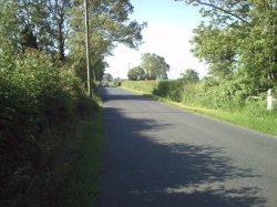 picture of the view when cycling from portishead to langford
