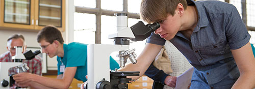 Students looking through microscopes at an open day event.