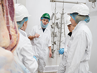 students wearing ppe in abattoir chiller