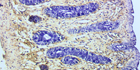 m-immunology