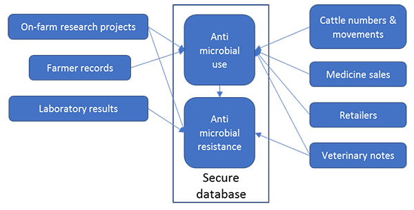 amr-databank