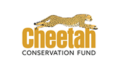 Cheetah conservation fund logo