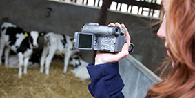 Animal Welfare and Behaviour | Bristol Veterinary School | University of Bristol Animal Welfare and Behaviour | Bristol Veterinary School | University of Bristol
