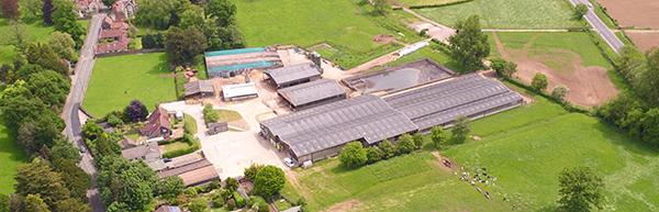 aerial view of farm