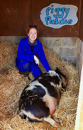 claire_scott_pig