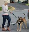 /vetscience/services/behaviour-clinic/dogbehaviouralsigns/images/ignorecommand.jpg