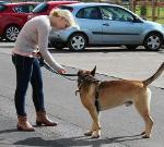 /vetscience/services/behaviour-clinic/dogbehaviouralsigns/images/refusingtreats.jpg
