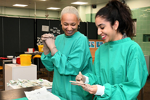Bristol veterinary students in a clinical skills practical