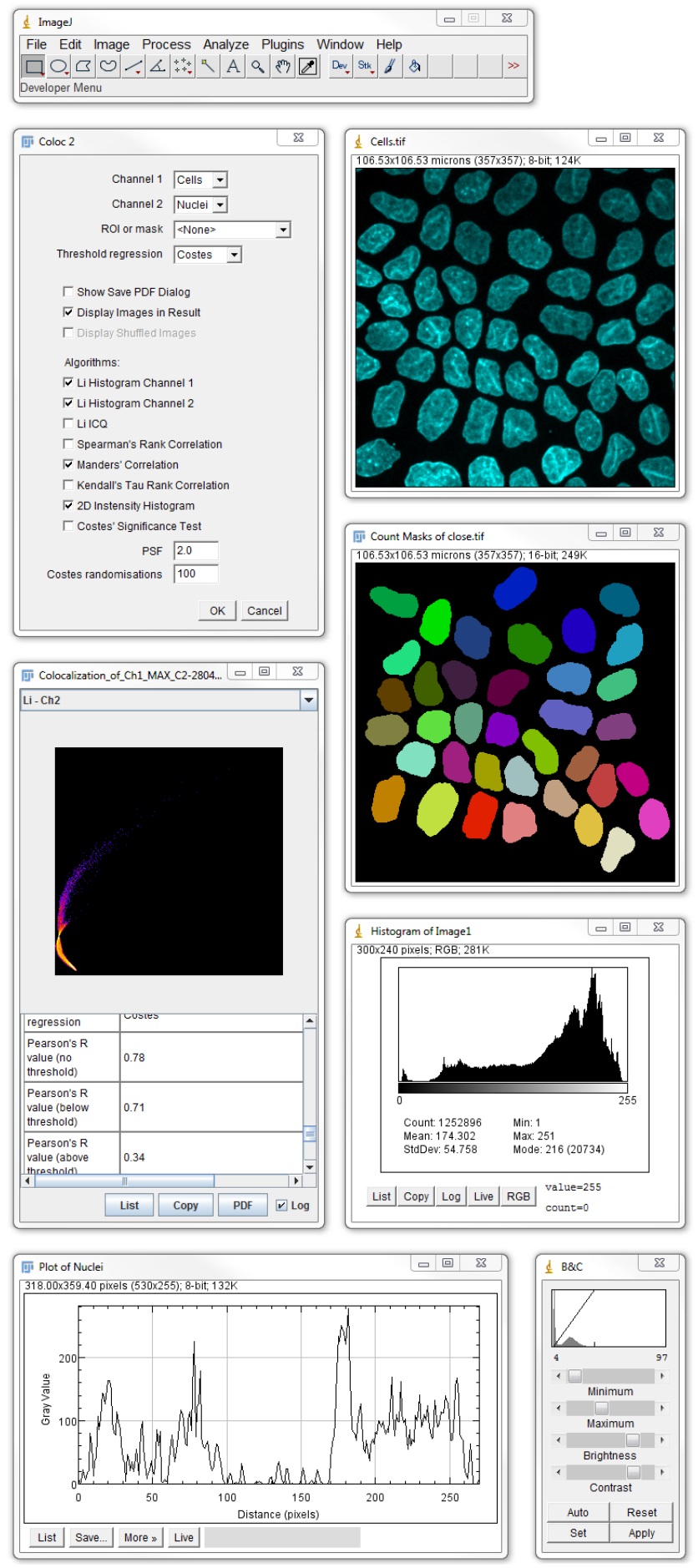 download image j software