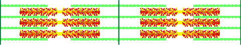Image of microfibril with cartoon representation of contractile proteins overlaid