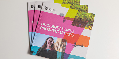 A photograph of multiple prospectuses.