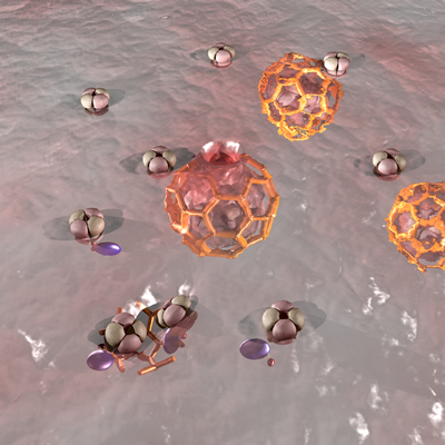 Reprsentation of Clathrin-mediated internalisation